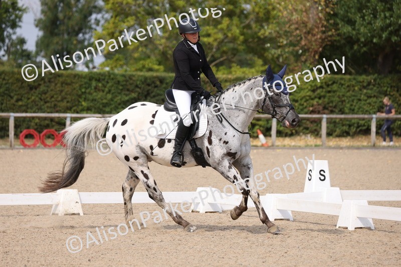 20250819-1587 - Class 5 - Novice 3