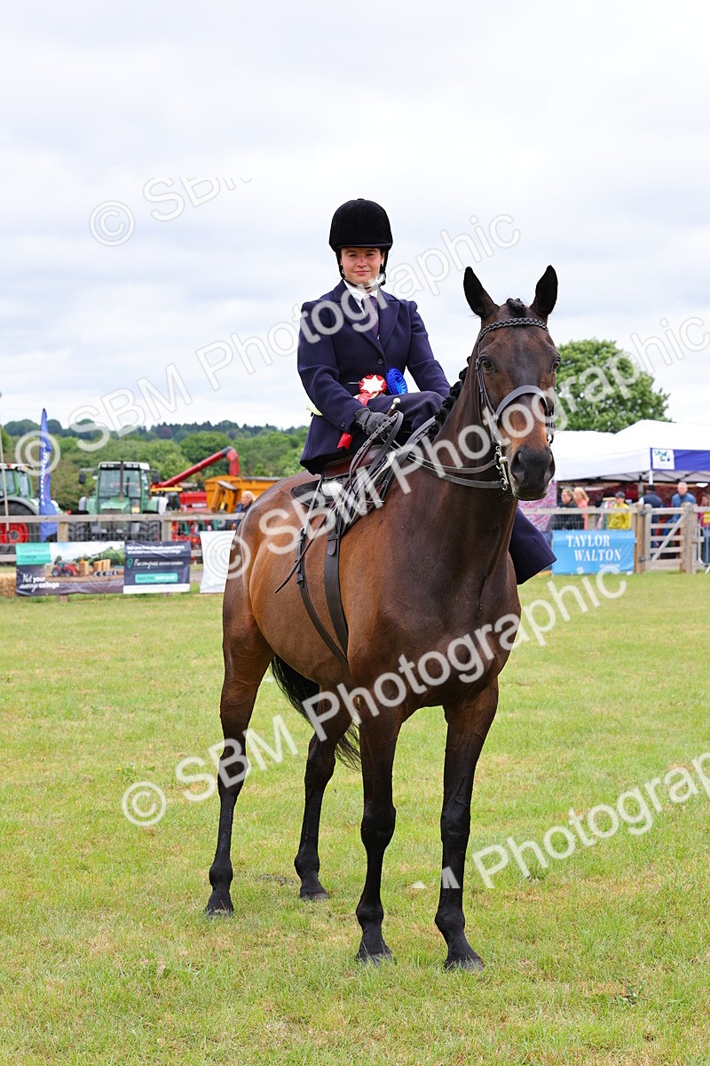 SBM_02841 - Class 9-11 Side Saddle including LIHS Rising Star Ladies Show Horse