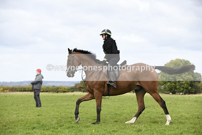 _DSC7837 - Time 12:55 to 13:13