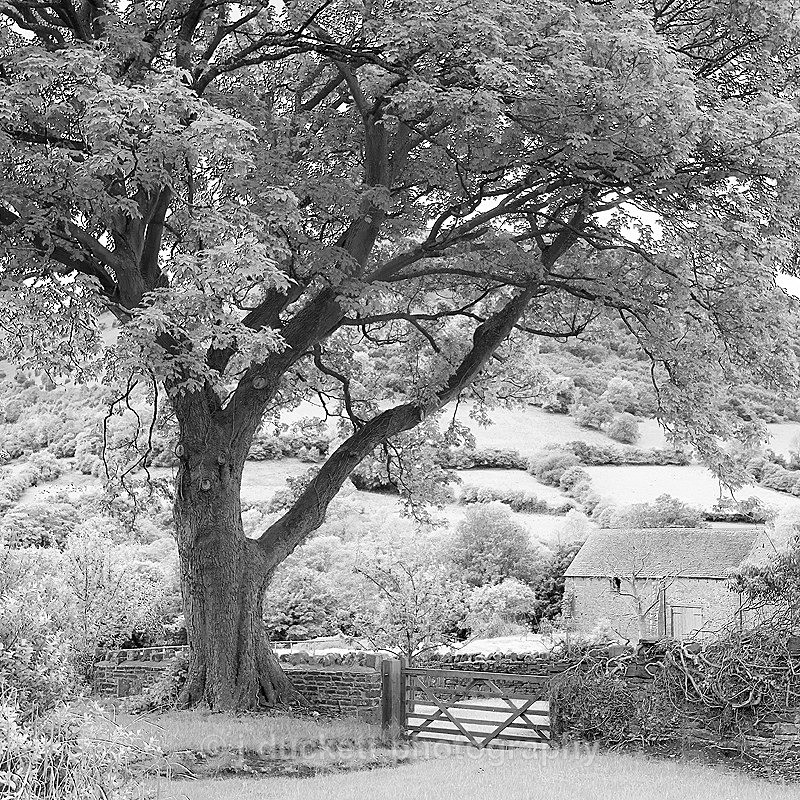 Infra red black and white landscape photography in the Black Mountains, South Wales