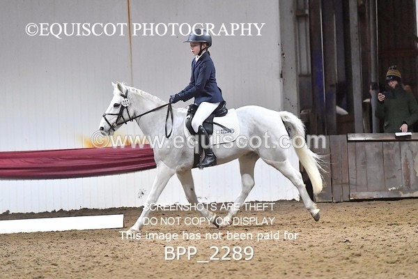 BPP_2289 - 23 - A LAMB