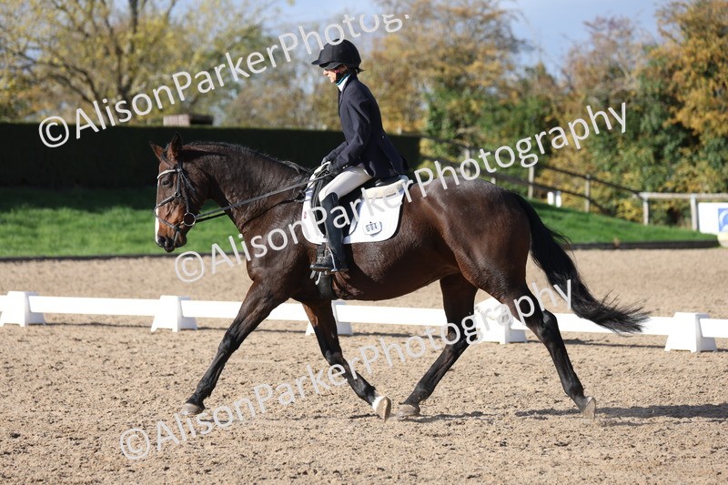 20251101-0624 - Class 5 - Novice 3