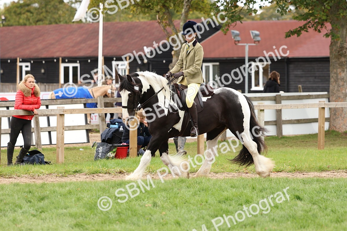 SBM_64509 - S58 - Coloured Pony Ridden