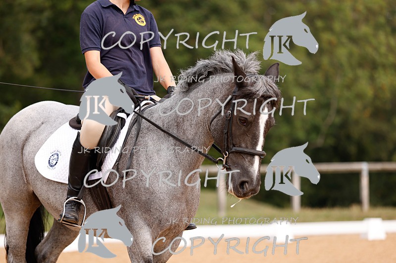 _R6A2863 - Dressage Morning