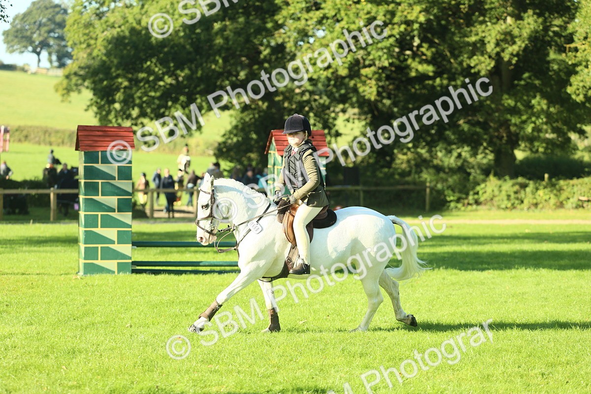 SBM_36286 - S29 - Novice & Newcomers Working Hunter Pony