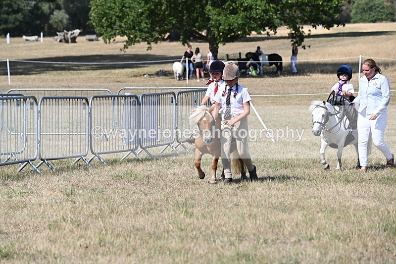 WJ6_9479 - Class 40 Cheekiest Pony/Horse