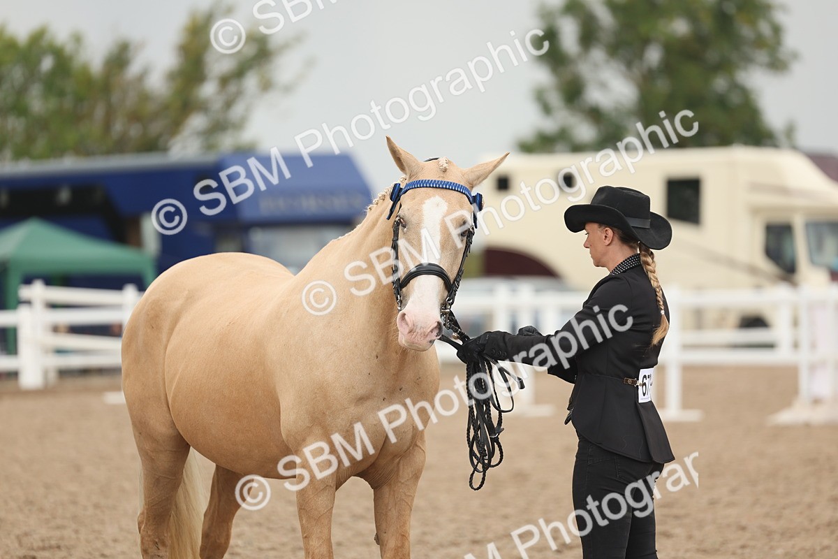 SBM_07640 - Class 26 - IH Foreign Breeds - Part Bred