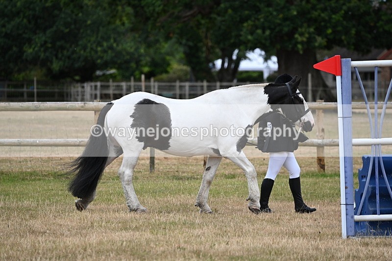 WJ6_4167 - Class 10 Coloured In-hand