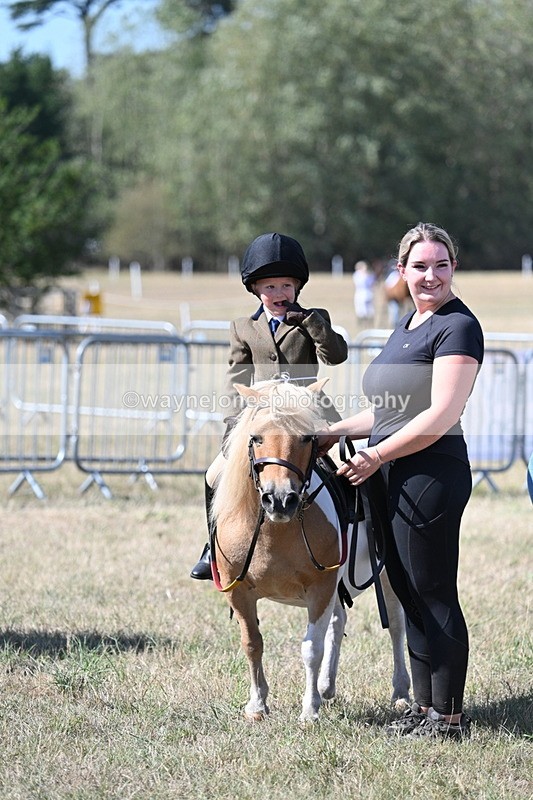 WJ7_1337 - Class 41 Prettiest Mare