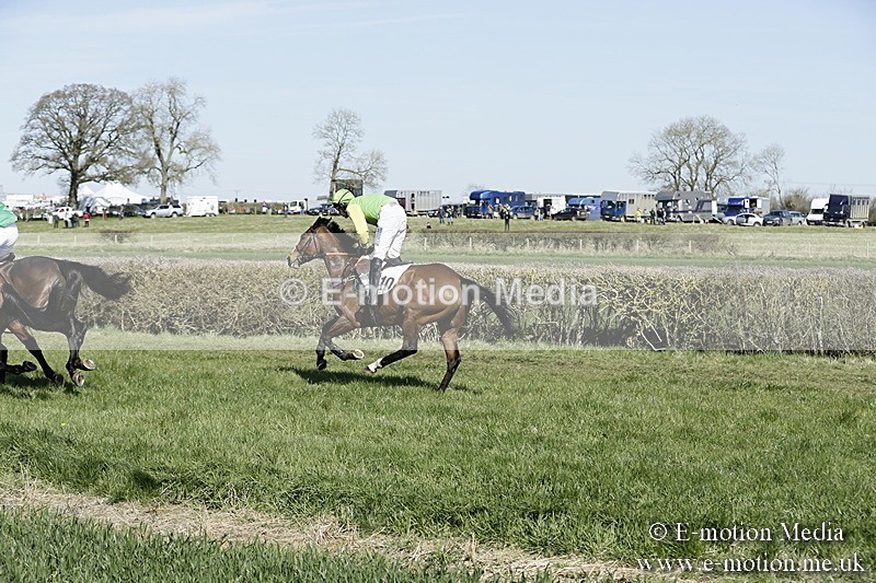 PtP 250317 26 - V.W.H. Hunt Point-to-Point Siddington 25/03/17