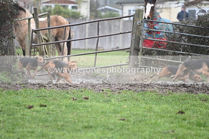WJ6_6549 - A Camera