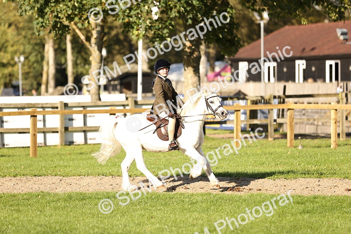SBM_29449 - S7 - Novice & Newcomers Ridden Pony