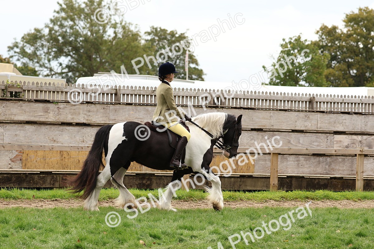 SBM_64421 - S58 - Coloured Pony Ridden