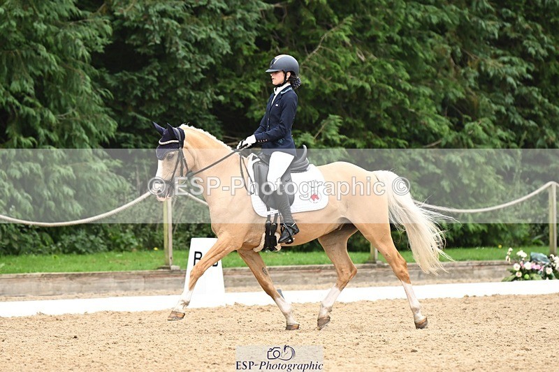 240811-122939-05848 - 301-Sophia.Longworth-Don.Deluxe