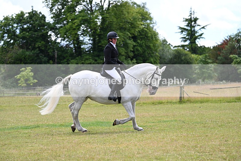WJ7_9449 - Class 8 Ridden Veterans