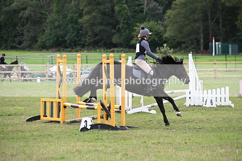 WJ6_1255 - 60cm Time 11:51 to 12:10