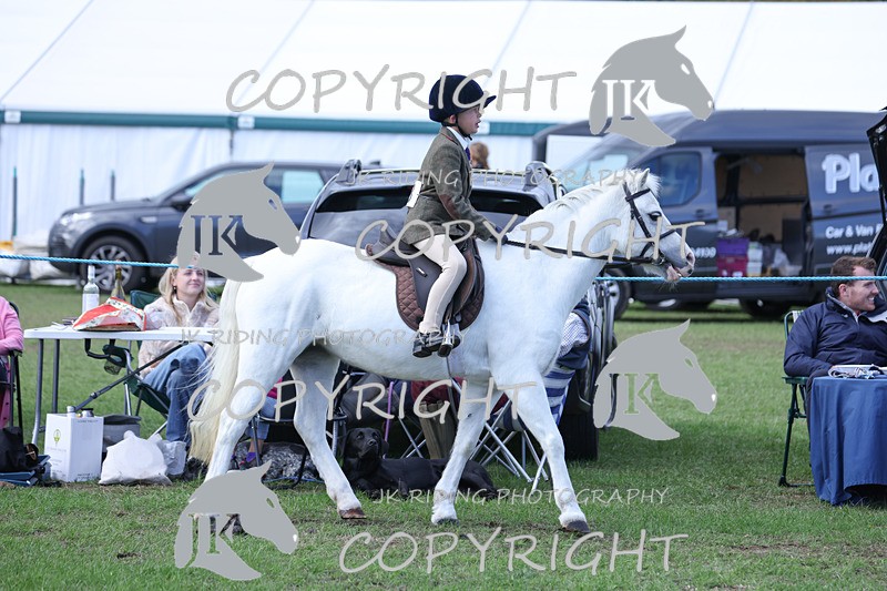 APP_4112 - Class 15a/b Pony club pony/Riding club horse
