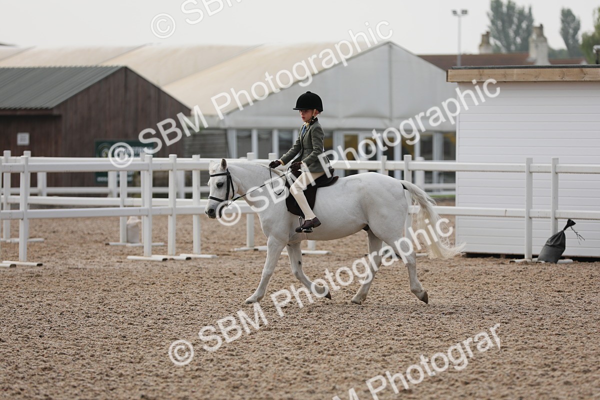 SBM_09656 - Class 301 Ridden M&M -Small Breeds