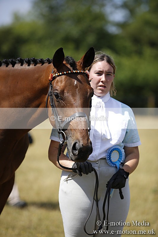 _C7A9792 - BVRC Sow 2018 Ring 2