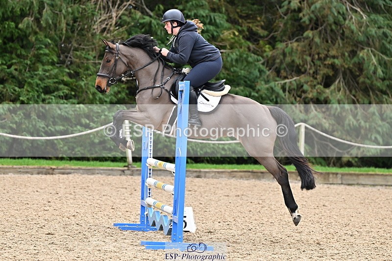 250201A-112801-00419 - Cls 02 Local Horse 100cm