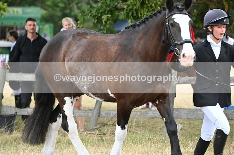 WJ6_8078 - Class 10 Coloured in Hand