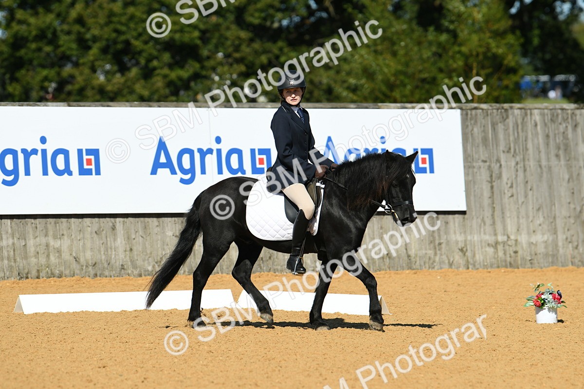 SBM_18170 - D4 - Small Tour Championship - Intro B