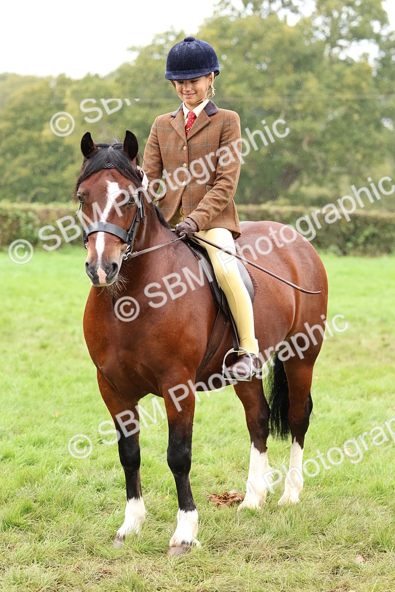 SBM_69631 - S62 - Mountain & Moorland Ridden Large Breeds