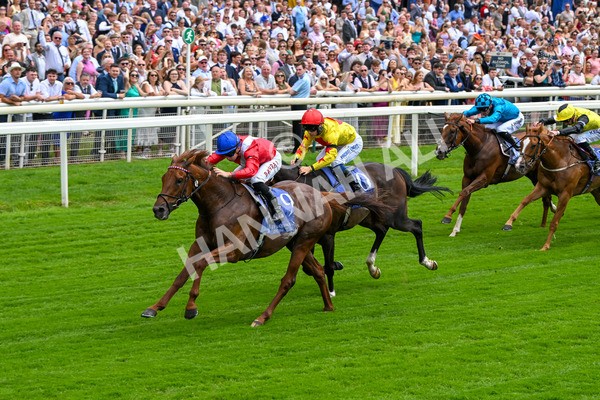 280625-Race 1-Archivist-9952 - Race 1 1.55pm Al Basti Equiworld Dubai Mile Handicap