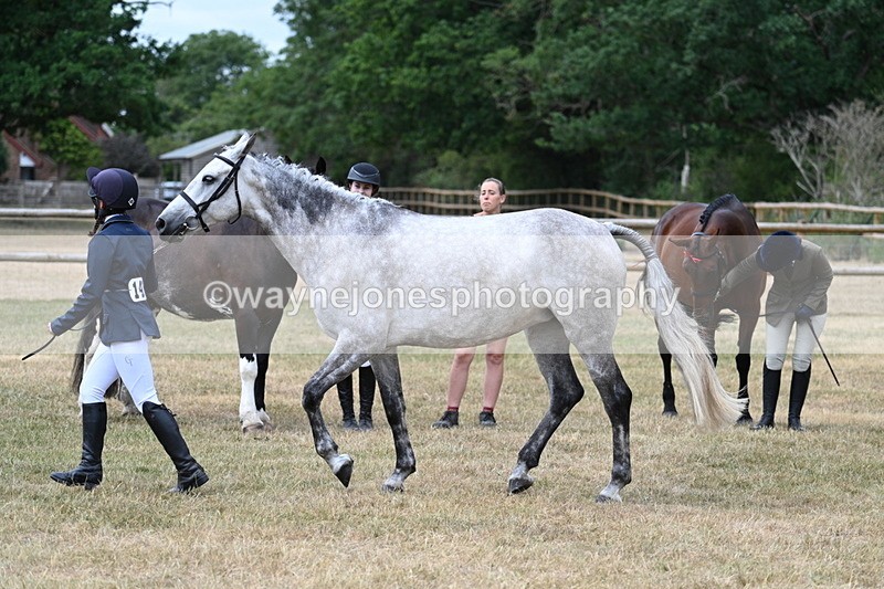 WJ7_1881 - Class 4a Prettiest Mare 14.2hh and over hand