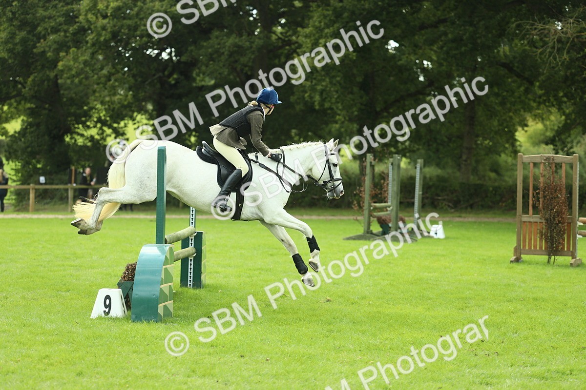 SBM_44733 - S31 - Working Hunter Pony