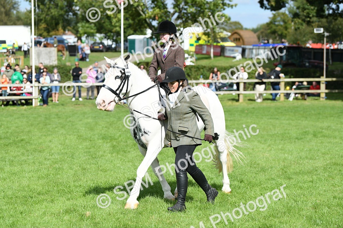 SBM_46818 - S12 - Family Horse & Pony