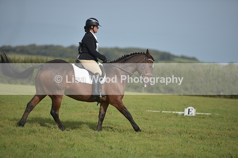 RAY_7756 - Class 2B: Trekenning Open: Dressage