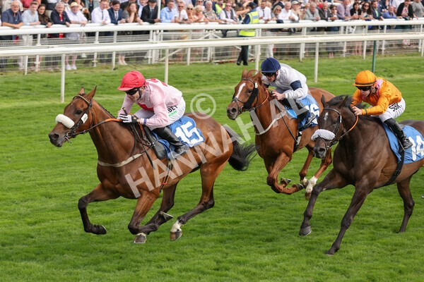 yr18082021r5-55 - Race 5 4.10pm Sky Bet Stakes