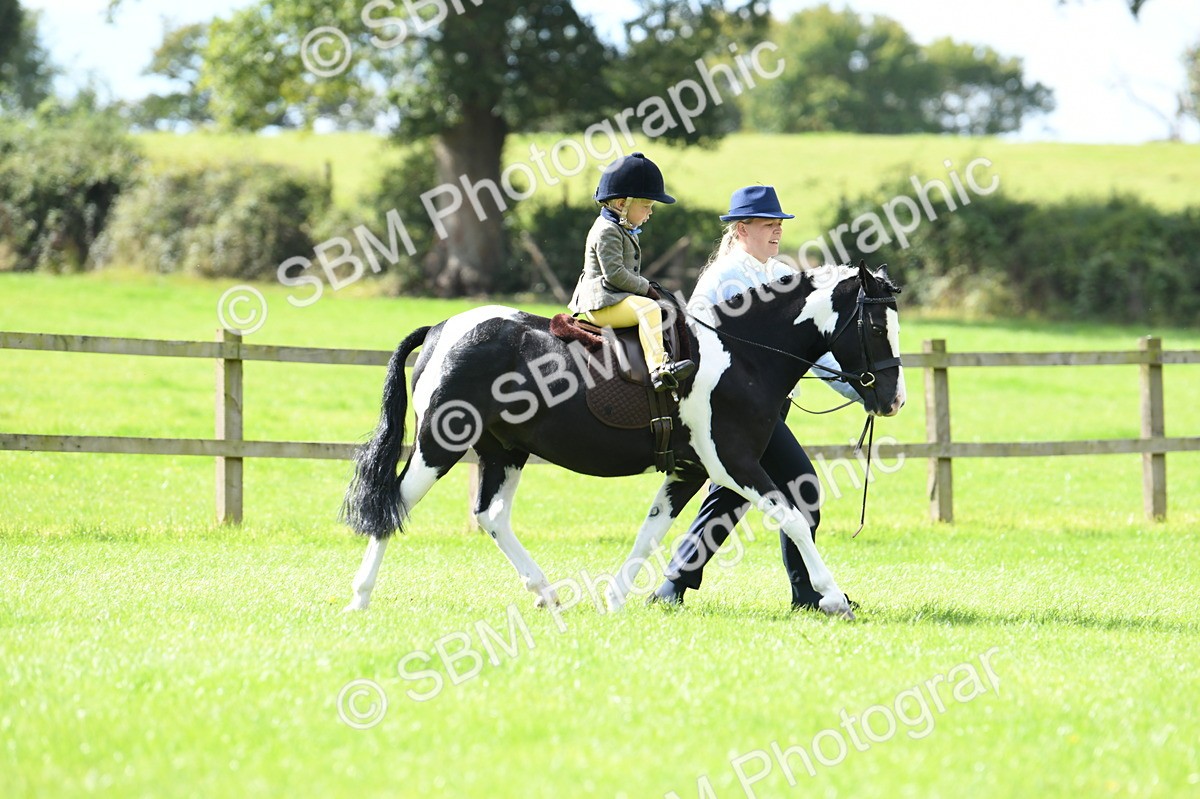 SBM_41161 - S19 - Lead Rein Show & Show Hunter Pony
