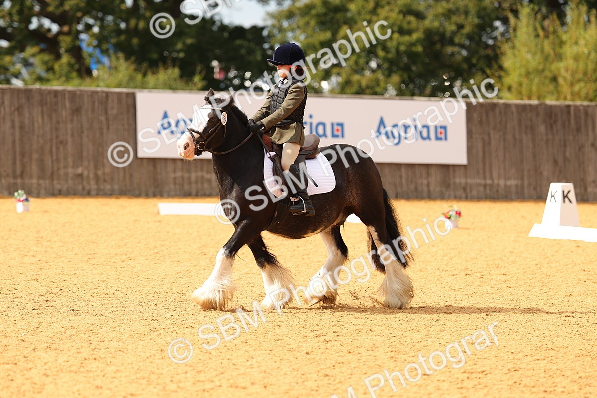 SBM_48226 - D22 - Junior Championship - Intro B