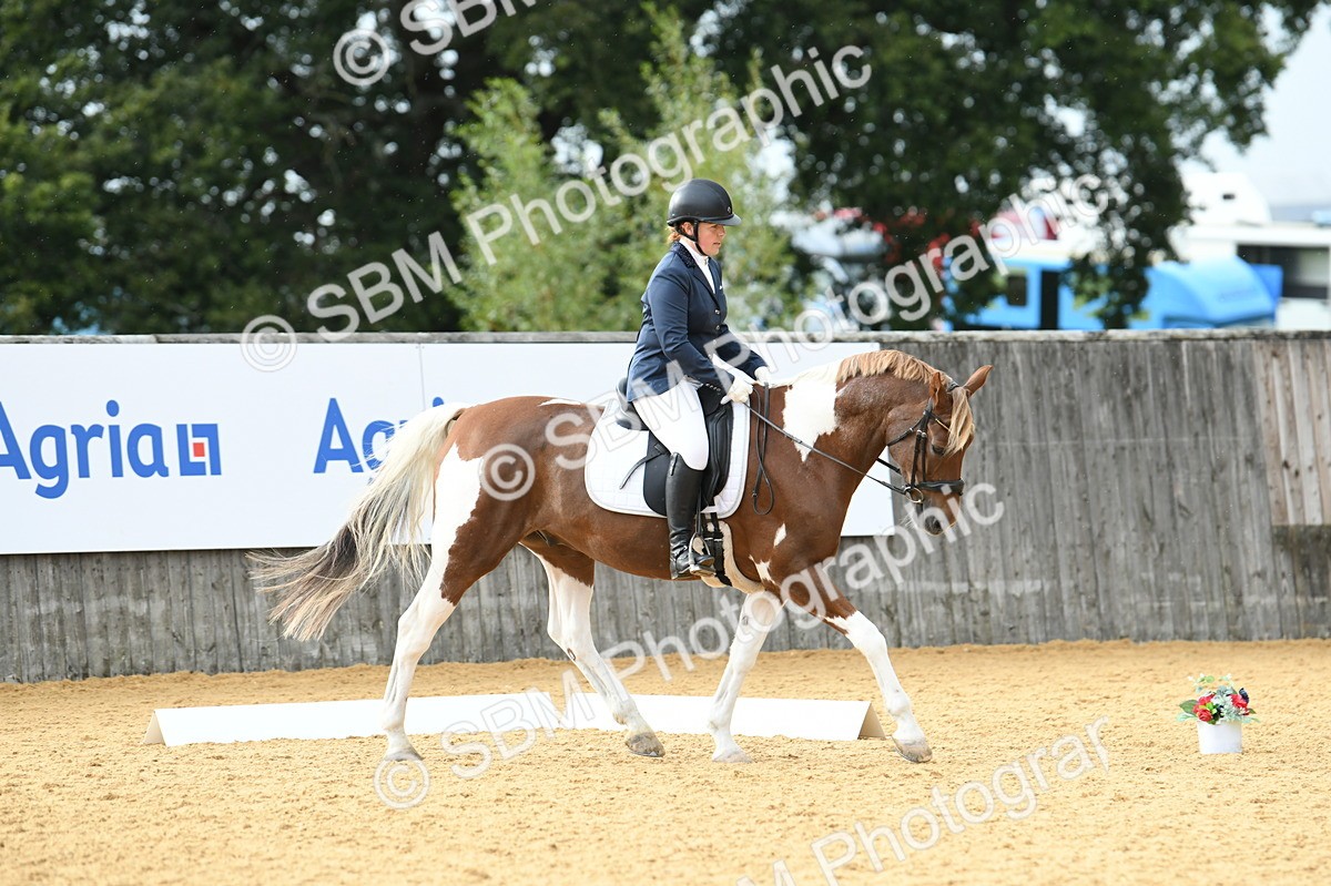 SBM_11061 - D28 Elementary Taster Elementary 42