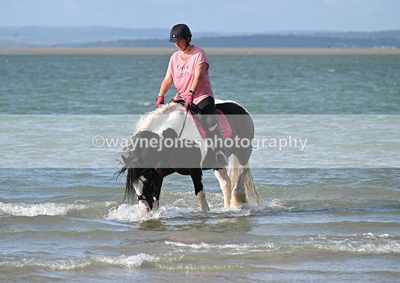 WJ7_4173 - Kellie & Churchill ... do Hayling Island 25-08-24