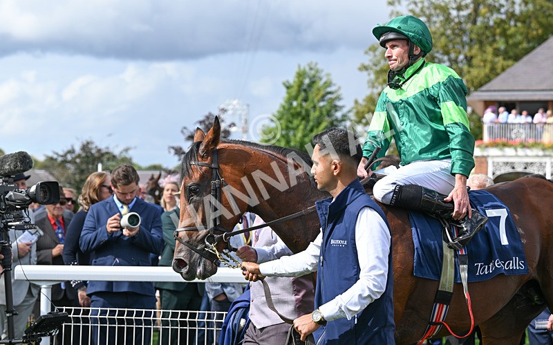 190826-057 Haffner - Race 2 14.25pm Tattersalls Acomb Stakes