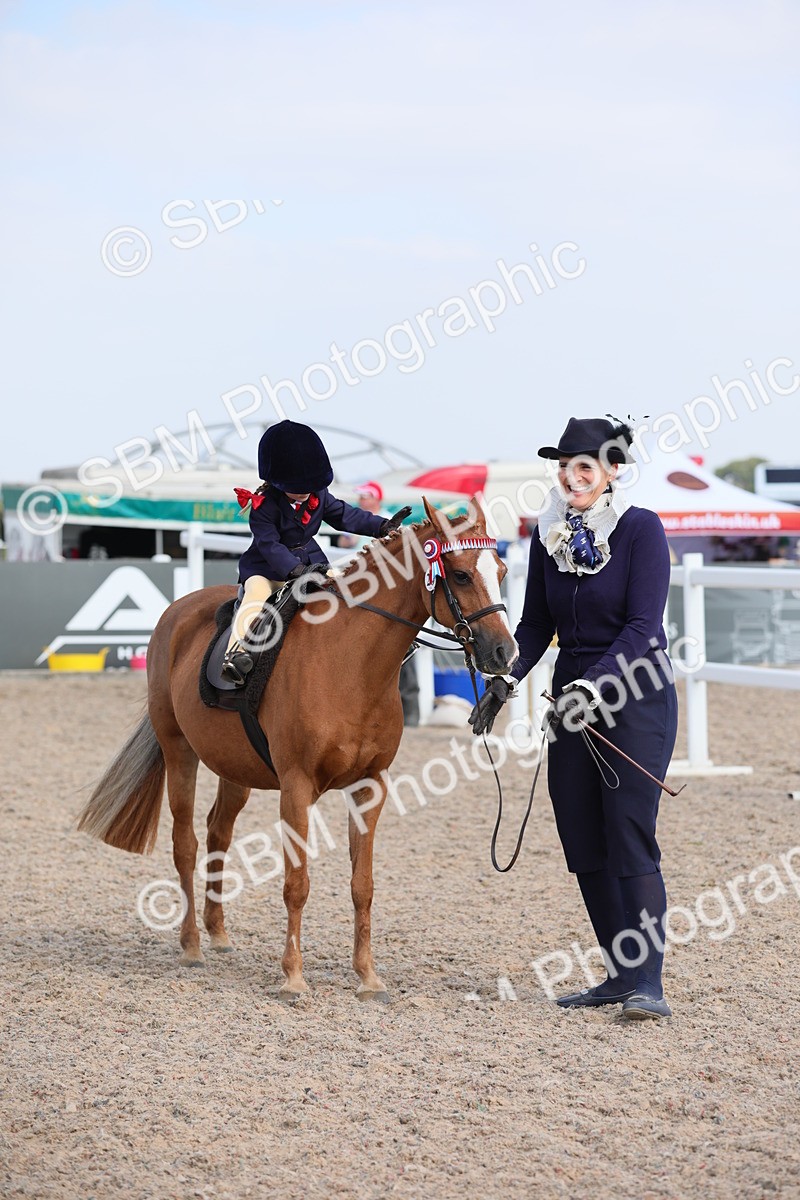 SBM_14012 - Class 309 Lead Rein Pony