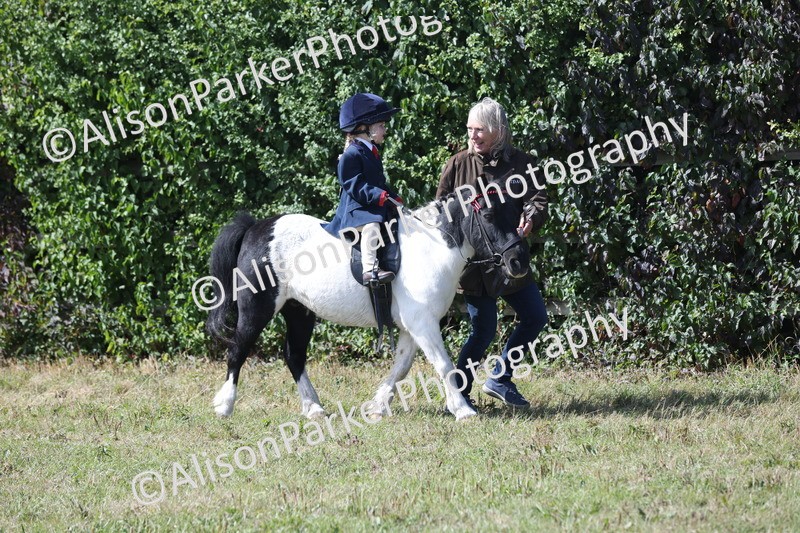 20250831-2636 - Class 17 - Lead Rein Pony