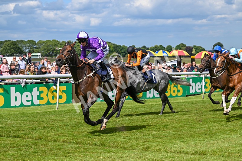 080624-Race 5-Ludos Landing-1469 - Race 5