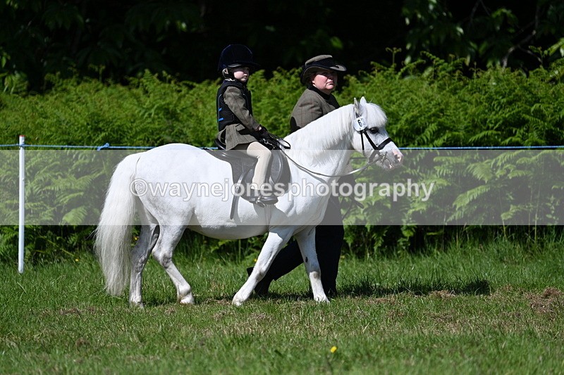 WJ7_0753 - Class 8 First Rally Pony