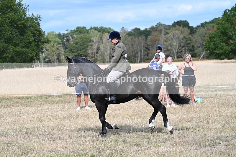 WJ7_6159 - Class 13 Ridden Veterans