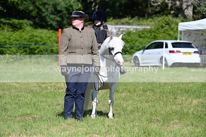 WJ7_0589 - Class 8 First Rally Pony