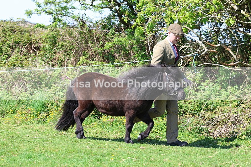 3E7A9401 - Class 16: Best Grass Kept