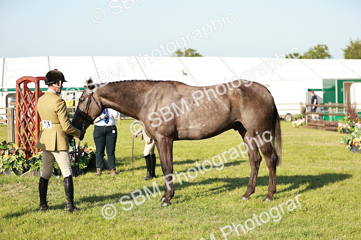 SBM_20168 - Class 117-119 - Sport Horse Working Hunter