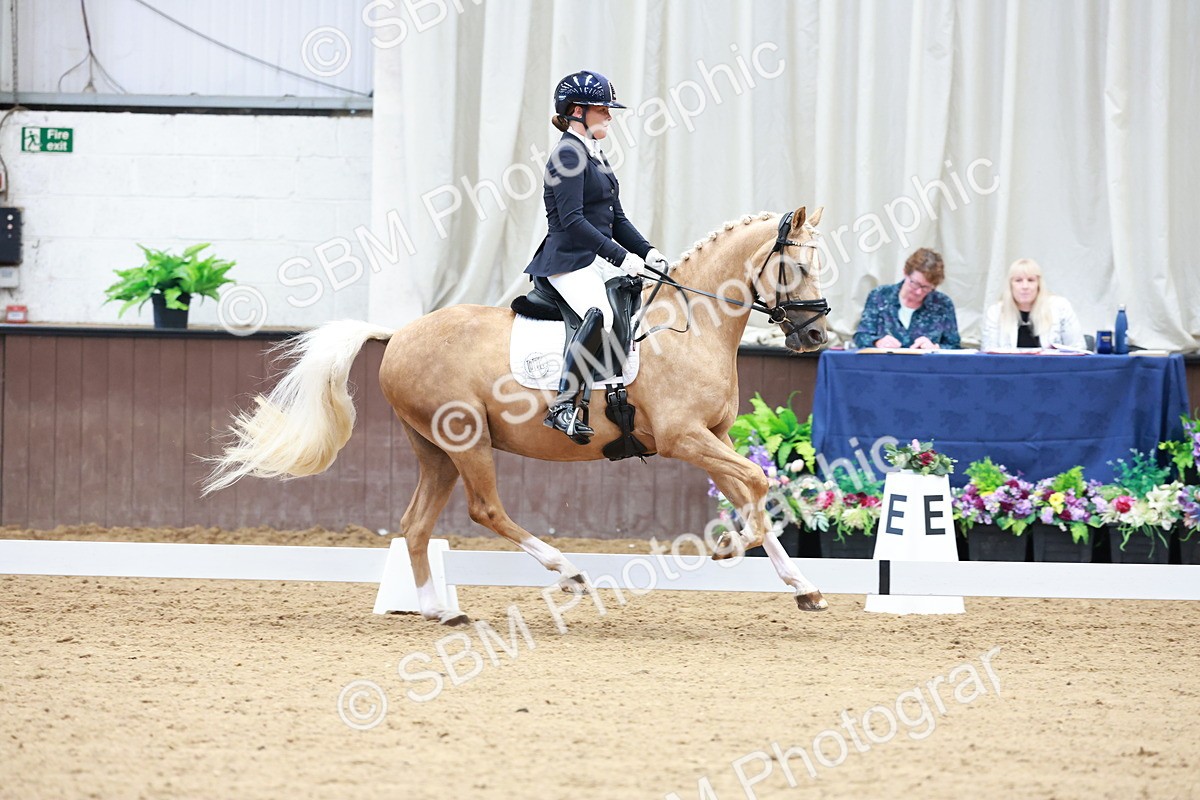 SBM_017321 - Class15 - FEI Pony