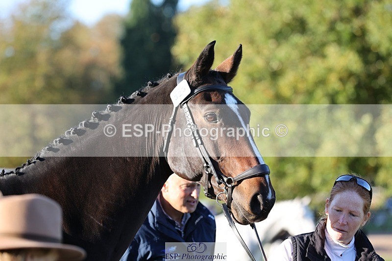 241027-083757-14709 - 323-Nicky.Blastland-FOUNDATIONS.HUSTLER