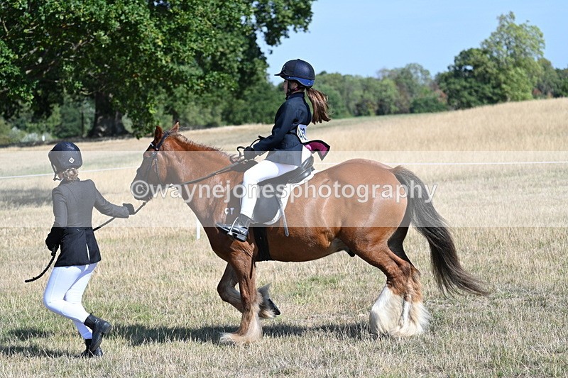 WJ7_3021 - Class 8 Ridden Tack & Turnout