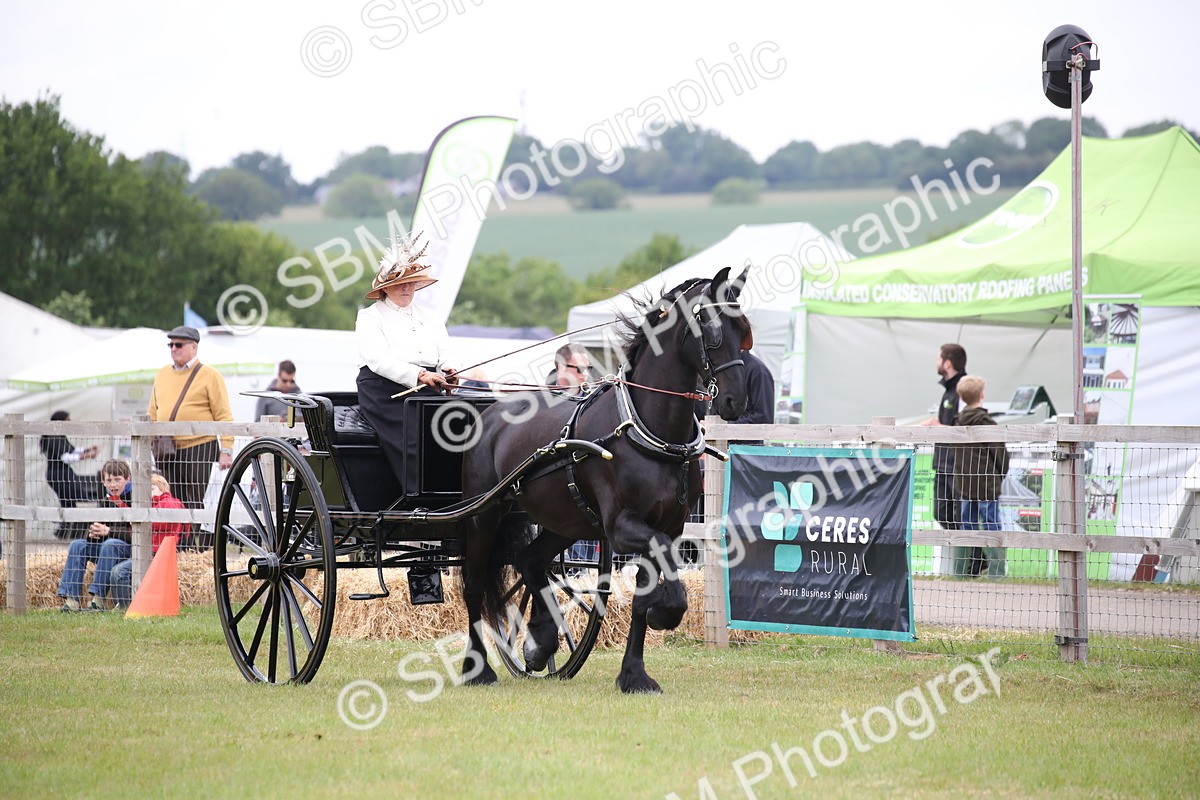 SBM_05732 - Class 12-15 - HOYS Private Driving